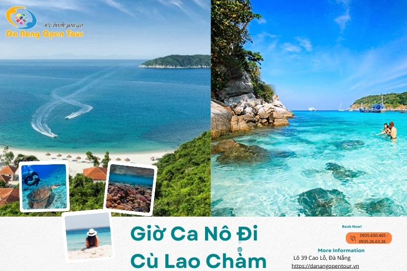 Giờ Khởi Hành Cano Đi Cù Lao Chàm
